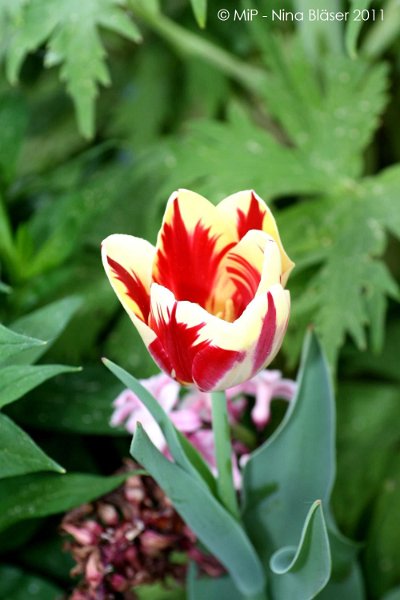 2011-04-23 Quincy etc (22).jpg